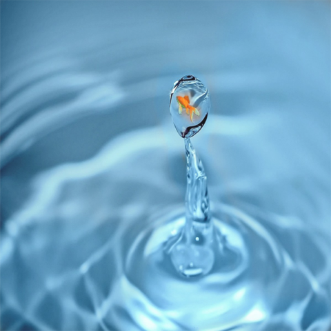 Read more about the article So sánh nước khoáng với nước tinh khiết theo 3 tiêu chí